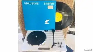 Grauzone - Eisbaer (12