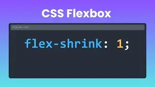CSS flex-shrink made easy 🔥