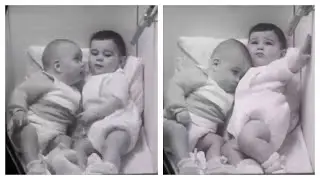 Social Interaction Between Infants in Their First Year | 1965 Study