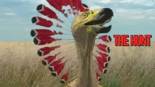 Carakiller - The Hunt | The Future Is Wild edit
