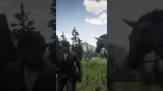 2 Bucks and A Large Jewelry Bag at The Dakota River Broken Door Loot Box, in Red Dead Redemption 2