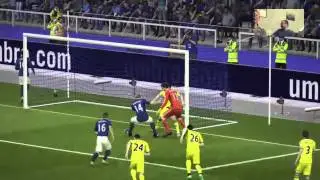 Shawn's goal (Funny FIFA goal)