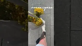 Полна сумка счастья!!! #цветы #природа #flowers #relax #сад #garden #love