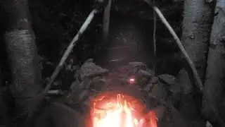 Noonerino Update - Camp Noonerino