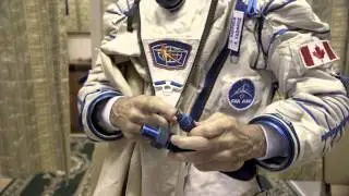 The Sokol suit and the 