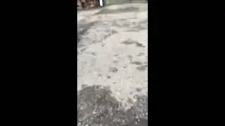 Мы на море