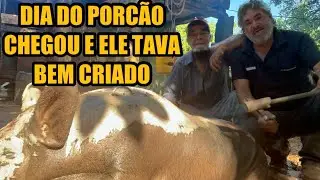 DIA DO PORCÃO IR PRA PANELA
