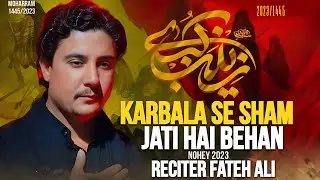 Sham Jati Hai Zainab | Fateh Ali Safdar Maulai | Noha 2023 / 1445