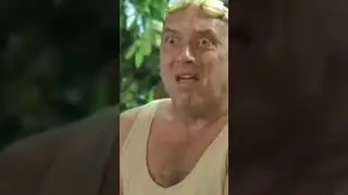 Пёс смешные моменты 