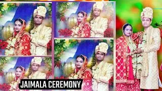 Swaraj & Ankita Wedding Part 8 - Jaimala Ceremony