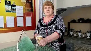 Отзывы гостей "Зеленый бор"