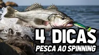 4 DICAS QUE NINGUÉM TE CONTOU, PARA PESCAR ROBALOS AO SPINNING