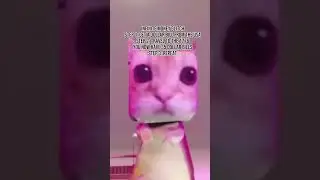 meme of the second #memes #memeoftheweek #funnypictures #funny #funnymemesoftheday #memefunny #edit