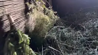 Выходной в июле