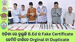 Try to Make Sense of This: Student's Admission Cancelled with Fake B.Ed Certificate in Odisha