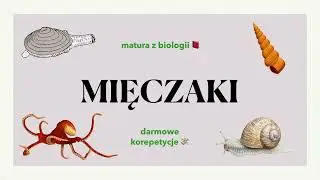 #26 Mięczaki - małże, ślimaki, głowonogi - budowa, charakterystyka 📕 biologia rozszerzona do matury