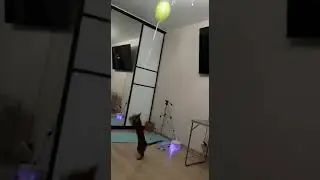 Бенгальская кошка