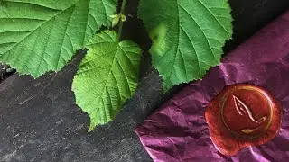Сургучная печать