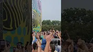 FAFO Zack Fox lollapalooza