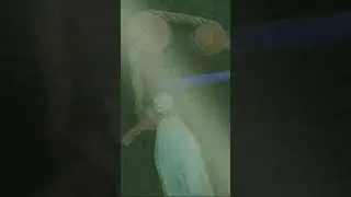 барбоскины вырезанный фрагмент