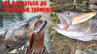 ЛОВИМ ТАЙМЕНЯ. Советы бывалых таймешатников. Готовимся к дальним рыболовным экспедициям. Фильм №1