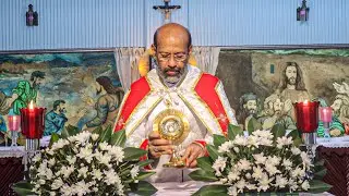 ST. ALPHONSA NOVENA: DAY-9