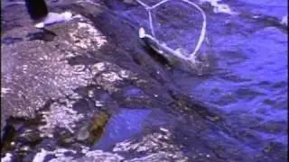 George River 2