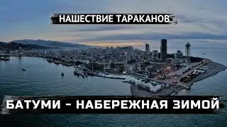 Квартира С Тараканами | Зимняя Набережная В Батуми | Сайт Для Поиска Квартир