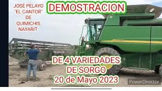 DEMOSTRACION DE RENDIMIENTO DE 4 VARIEDADES DE SORGO SEMBRADAS EN TIERRAS DE QUIMICHIS, NAYARIT