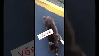Не заставишь ....Убегу ....🤣🤣🤣
