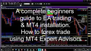 A complete beginners guide to EA trading & MT4 installation  How to forex trade using MT4 Expert Adv