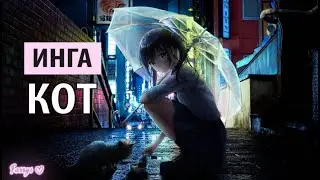 инга хочет танцевать - кот