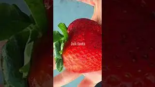 Самые везучие люди в мире 