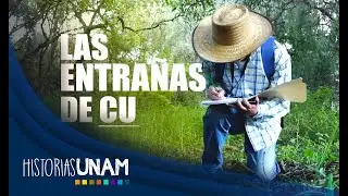 LO QUE HAY DEBAJO DE CIUDAD UNIVERSITARIA