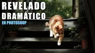 Revelado dramático de una fotografía en Photoshop