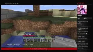 MINECRAFT AGAIN ;) - 1 / 2