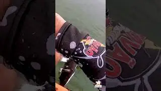 Ela atacou a minha Isca