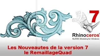 Rhino 7 presentation du l'outil RemaillageQuad