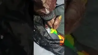 заряжаем жерлицы