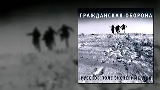 гражданская оборона - насекомые