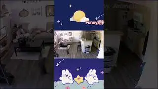 😆 😅 😂