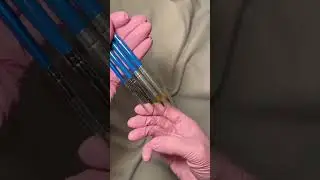 Кисти