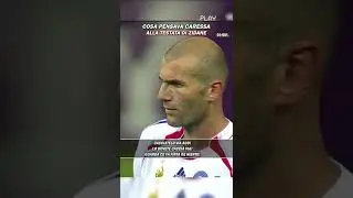 Cosa Pensava CARESSA Alla Testata Di ZIDANE
