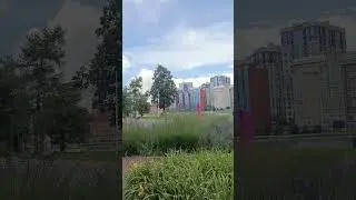 сижу балдею, отдыхаю #отдых #shortvideo #shorts #youtube #город #красота