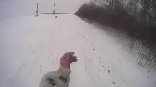 Последняя охота 2020 г