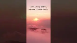 Цитата