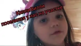 Килли Вилли поселился у нас на участке.