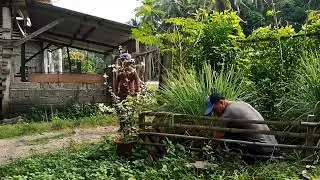ANG TANGLAD | FUNNY GARDINER ( VISAYA)