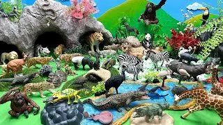 Diorama Animal World With 3 Cave | Safari Africa Animals Fun Monkey Tiger Lion Camel