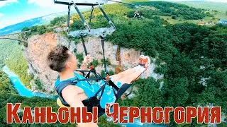 VLOG: ЭКСКУРСИЯ 
